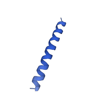 21816_6wl7_6A_v1-2
Cryo-EM of Form 2 like peptide filament, 29-20-2