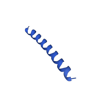 21816_6wl7_6_v1-2
Cryo-EM of Form 2 like peptide filament, 29-20-2