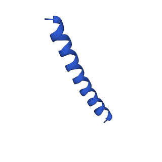 21816_6wl7_9A_v1-2
Cryo-EM of Form 2 like peptide filament, 29-20-2