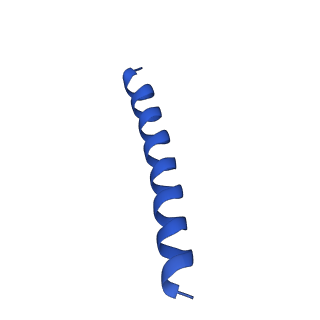 21816_6wl7_9_v1-1
Cryo-EM of Form 2 like peptide filament, 29-20-2