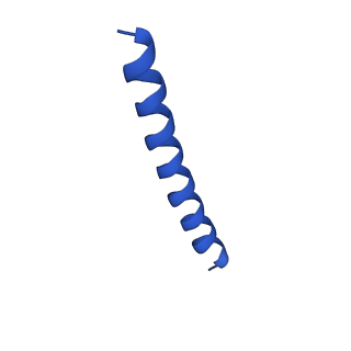 21816_6wl7_A_v1-2
Cryo-EM of Form 2 like peptide filament, 29-20-2