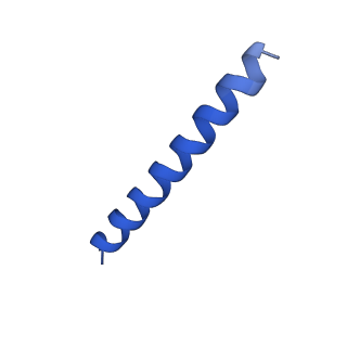 21816_6wl7_CA_v1-1
Cryo-EM of Form 2 like peptide filament, 29-20-2
