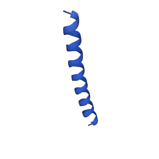 21816_6wl7_CB_v1-2
Cryo-EM of Form 2 like peptide filament, 29-20-2