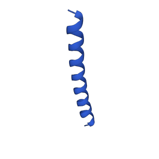 21816_6wl7_C_v1-2
Cryo-EM of Form 2 like peptide filament, 29-20-2