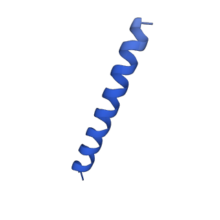 21816_6wl7_DA_v1-1
Cryo-EM of Form 2 like peptide filament, 29-20-2