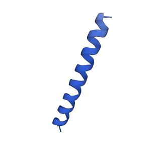 21816_6wl7_DA_v1-2
Cryo-EM of Form 2 like peptide filament, 29-20-2