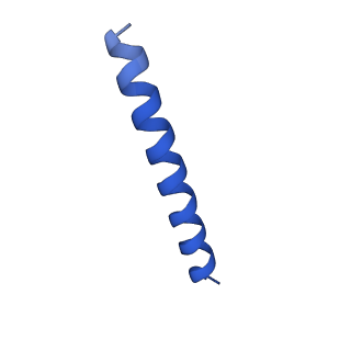 21816_6wl7_DB_v1-2
Cryo-EM of Form 2 like peptide filament, 29-20-2