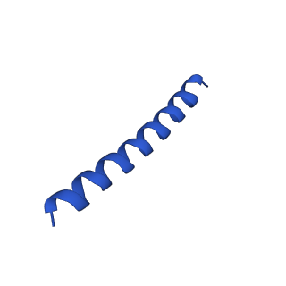 21816_6wl7_EB_v1-2
Cryo-EM of Form 2 like peptide filament, 29-20-2