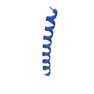 21816_6wl7_E_v1-1
Cryo-EM of Form 2 like peptide filament, 29-20-2