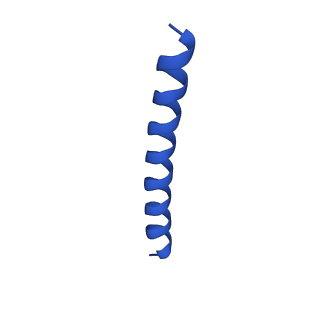 21816_6wl7_E_v1-2
Cryo-EM of Form 2 like peptide filament, 29-20-2