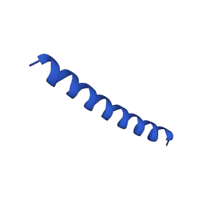 21816_6wl7_F_v1-2
Cryo-EM of Form 2 like peptide filament, 29-20-2