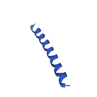 21816_6wl7_GA_v1-2
Cryo-EM of Form 2 like peptide filament, 29-20-2