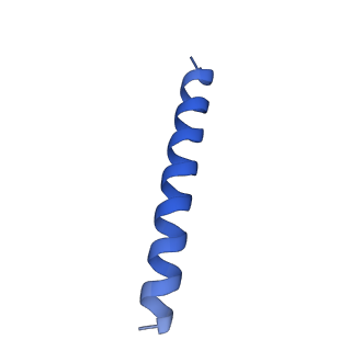 21816_6wl7_GB_v1-1
Cryo-EM of Form 2 like peptide filament, 29-20-2