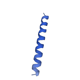 21816_6wl7_GB_v1-2
Cryo-EM of Form 2 like peptide filament, 29-20-2