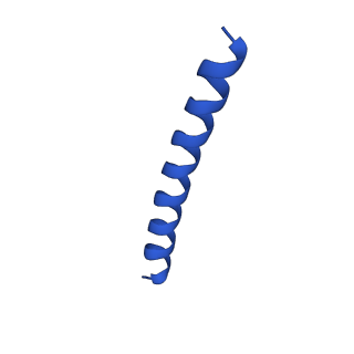 21816_6wl7_G_v1-2
Cryo-EM of Form 2 like peptide filament, 29-20-2