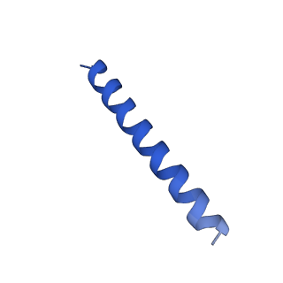 21816_6wl7_HA_v1-2
Cryo-EM of Form 2 like peptide filament, 29-20-2