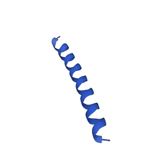 21816_6wl7_JA_v1-2
Cryo-EM of Form 2 like peptide filament, 29-20-2