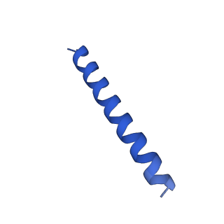 21816_6wl7_KA_v1-2
Cryo-EM of Form 2 like peptide filament, 29-20-2