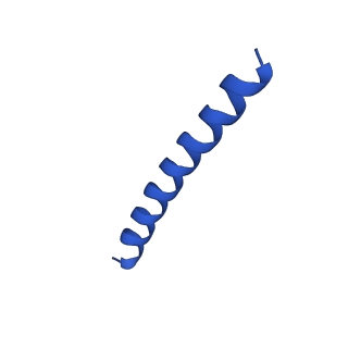 21816_6wl7_LA_v1-2
Cryo-EM of Form 2 like peptide filament, 29-20-2