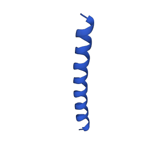 21816_6wl7_MB_v1-1
Cryo-EM of Form 2 like peptide filament, 29-20-2