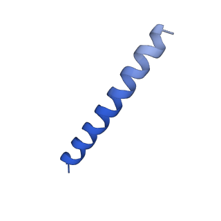 21816_6wl7_NA_v1-1
Cryo-EM of Form 2 like peptide filament, 29-20-2