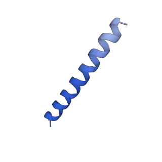 21816_6wl7_NA_v1-2
Cryo-EM of Form 2 like peptide filament, 29-20-2