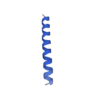 21816_6wl7_QB_v1-1
Cryo-EM of Form 2 like peptide filament, 29-20-2