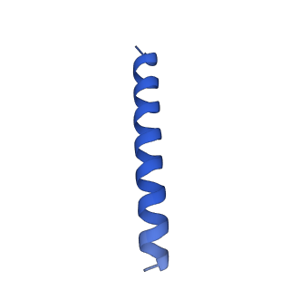 21816_6wl7_QB_v1-2
Cryo-EM of Form 2 like peptide filament, 29-20-2