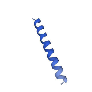 21816_6wl7_RA_v1-2
Cryo-EM of Form 2 like peptide filament, 29-20-2