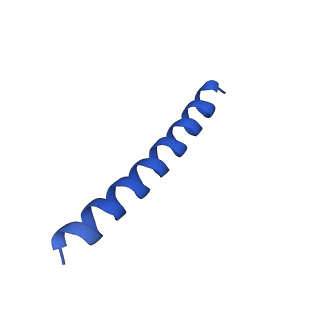 21816_6wl7_R_v1-1
Cryo-EM of Form 2 like peptide filament, 29-20-2