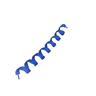 21816_6wl7_R_v1-2
Cryo-EM of Form 2 like peptide filament, 29-20-2