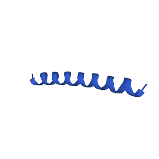 21816_6wl7_S_v1-2
Cryo-EM of Form 2 like peptide filament, 29-20-2