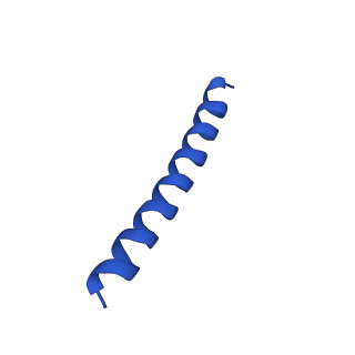 21816_6wl7_T_v1-1
Cryo-EM of Form 2 like peptide filament, 29-20-2