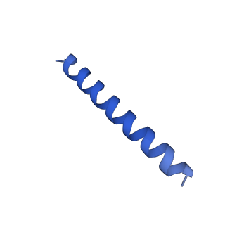 21816_6wl7_UA_v1-1
Cryo-EM of Form 2 like peptide filament, 29-20-2