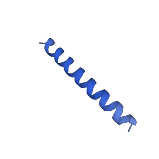 21816_6wl7_UA_v1-2
Cryo-EM of Form 2 like peptide filament, 29-20-2