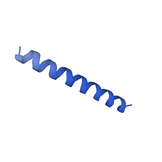 21816_6wl7_UB_v1-2
Cryo-EM of Form 2 like peptide filament, 29-20-2