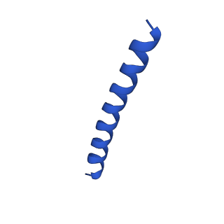 21816_6wl7_VA_v1-1
Cryo-EM of Form 2 like peptide filament, 29-20-2