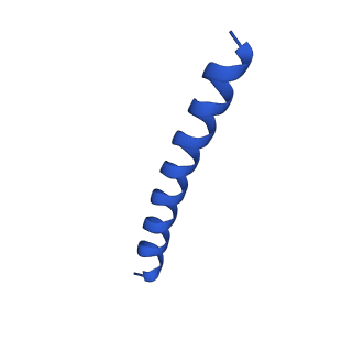 21816_6wl7_VA_v1-2
Cryo-EM of Form 2 like peptide filament, 29-20-2