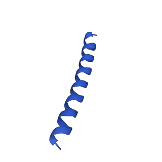 21816_6wl7_V_v1-2
Cryo-EM of Form 2 like peptide filament, 29-20-2