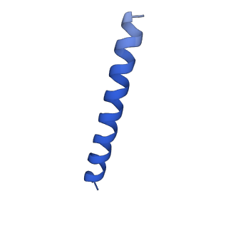 21816_6wl7_WA_v1-1
Cryo-EM of Form 2 like peptide filament, 29-20-2
