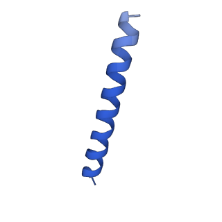 21816_6wl7_WA_v1-2
Cryo-EM of Form 2 like peptide filament, 29-20-2