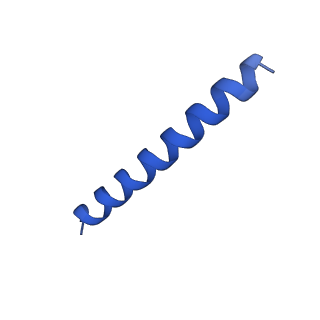 21816_6wl7_XA_v1-2
Cryo-EM of Form 2 like peptide filament, 29-20-2