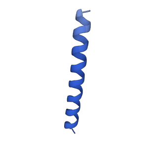 21816_6wl7_XB_v1-2
Cryo-EM of Form 2 like peptide filament, 29-20-2