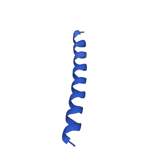 21816_6wl7_X_v1-2
Cryo-EM of Form 2 like peptide filament, 29-20-2