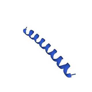 21816_6wl7_Y_v1-1
Cryo-EM of Form 2 like peptide filament, 29-20-2