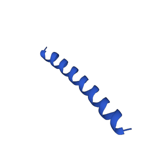 21816_6wl7_Y_v1-2
Cryo-EM of Form 2 like peptide filament, 29-20-2