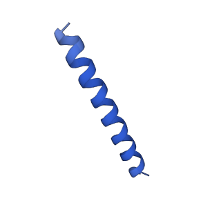 21816_6wl7_Z_v1-2
Cryo-EM of Form 2 like peptide filament, 29-20-2