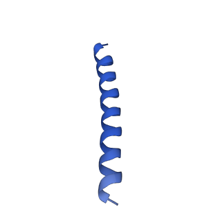 21816_6wl7_aA_v1-1
Cryo-EM of Form 2 like peptide filament, 29-20-2