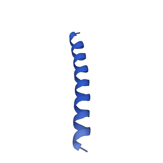 21816_6wl7_aA_v1-2
Cryo-EM of Form 2 like peptide filament, 29-20-2