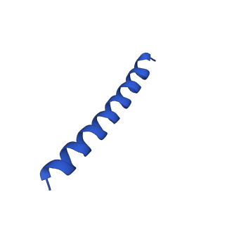 21816_6wl7_a_v1-1
Cryo-EM of Form 2 like peptide filament, 29-20-2